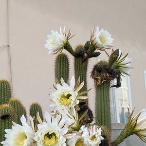 Meet your Posher, Gabriela